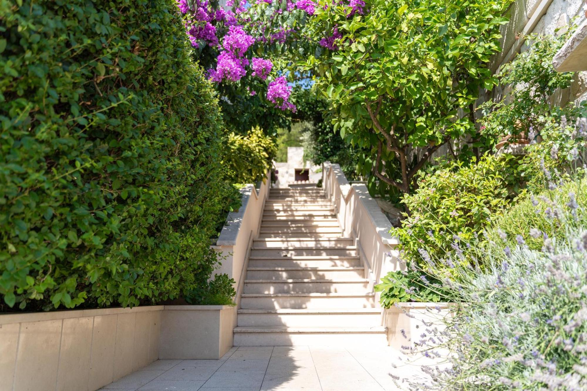 Apartments Siesta سومارتين المظهر الخارجي الصورة